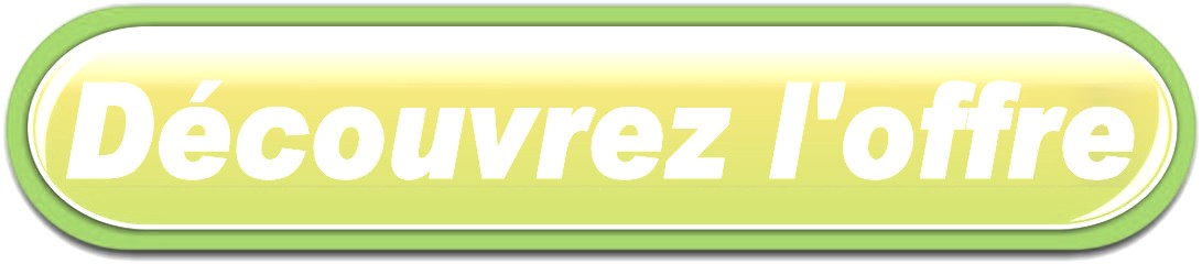BOUTON LIVRAISON FLEURS A BALEYSSAGUES